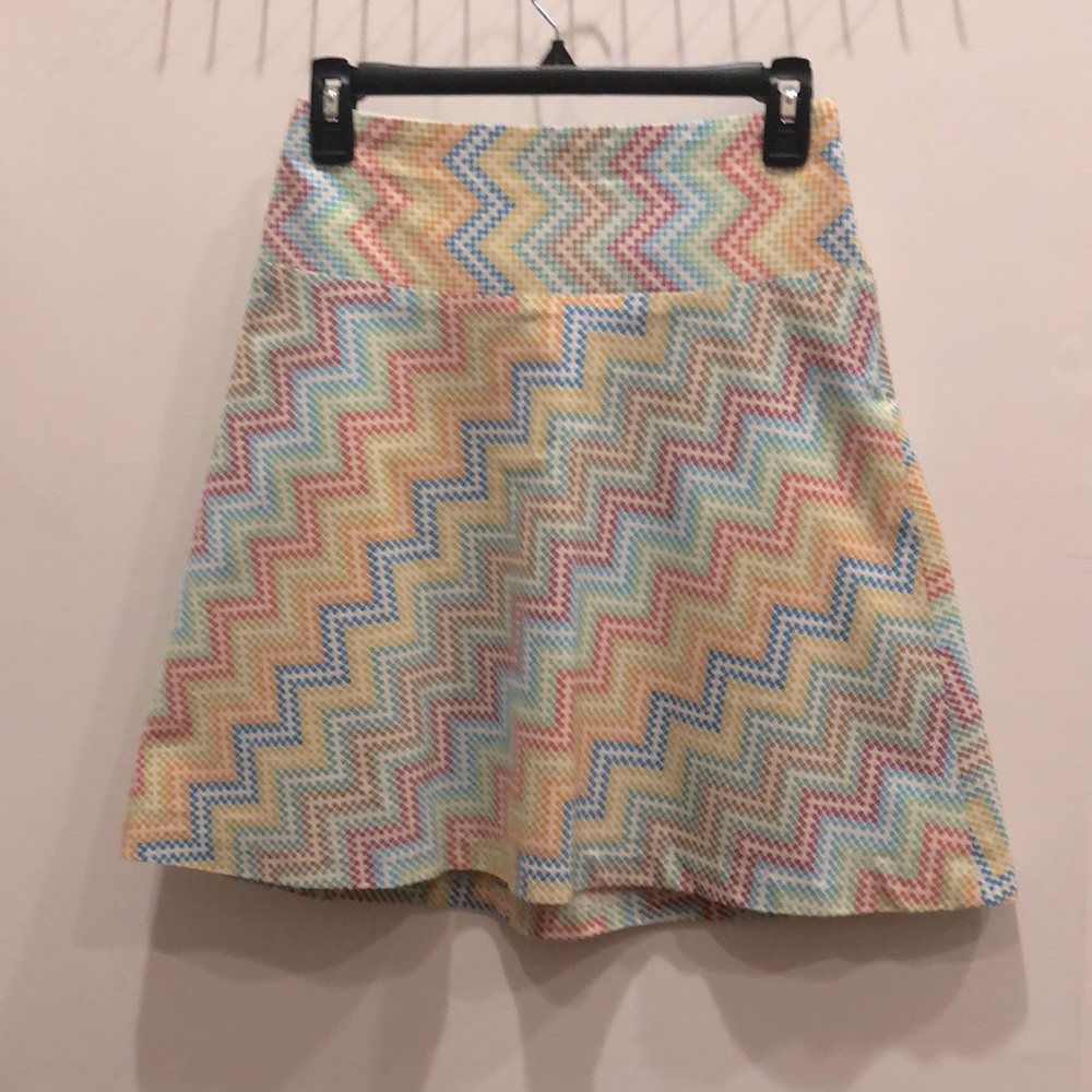 Multi colored flared skirt